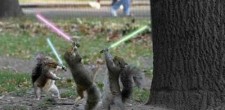 What is Geek Grab Bag? It’s a collection of odds and ends found throughout the week from the Internet. Send...