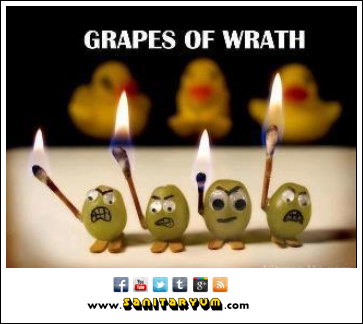 Grapes-of-Wrath